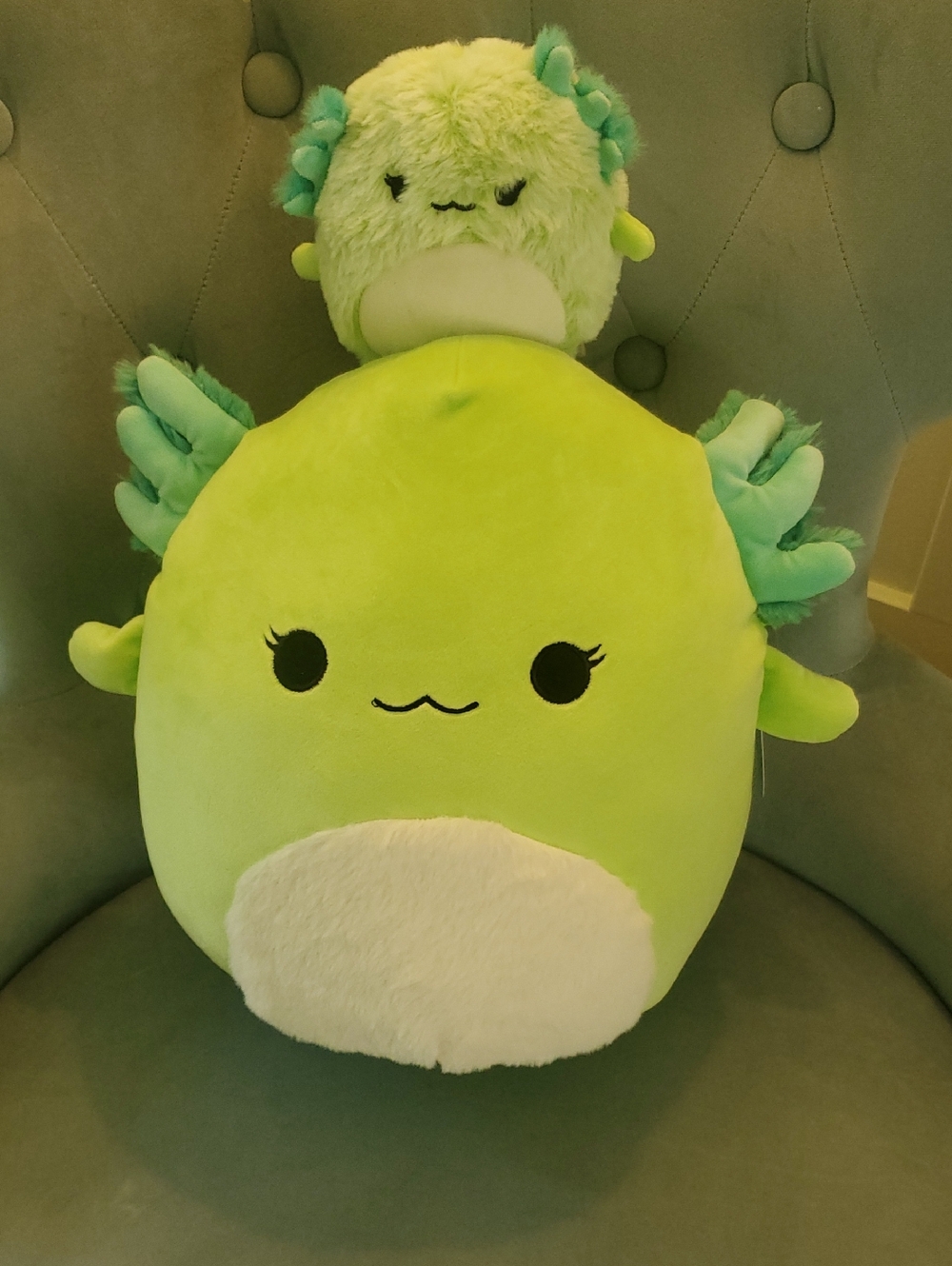 Squishmallows Lime Green Axolotl Plush Duo